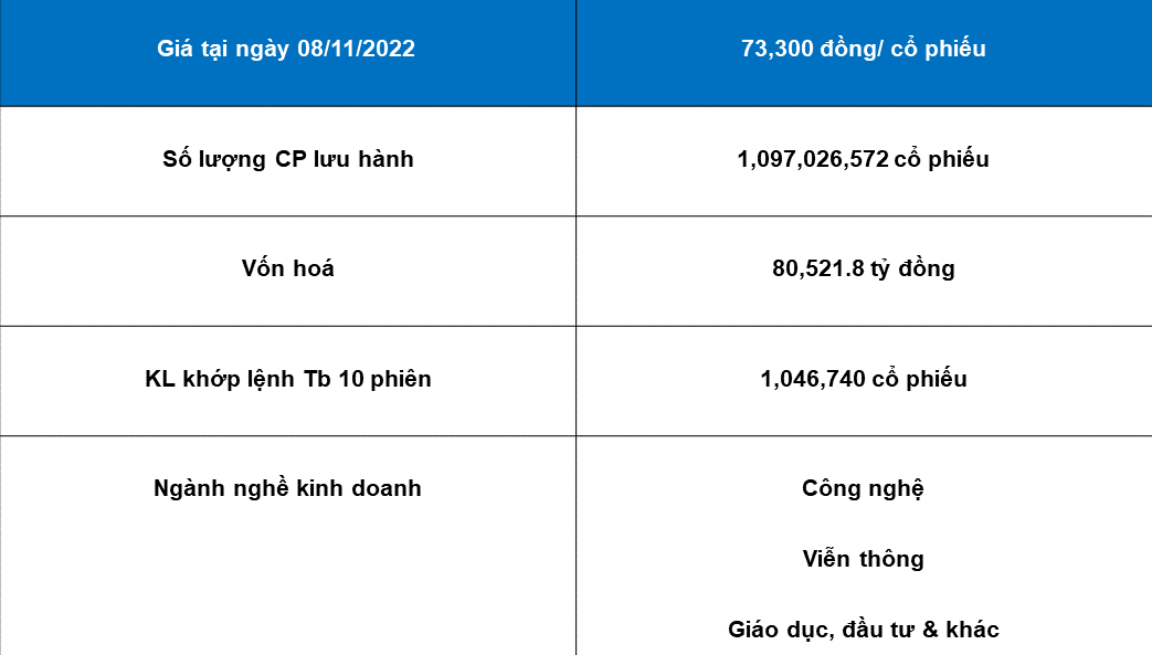 Tổng quan về doanh nghiệp FPT