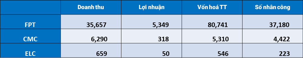 Vốn hoá tại các công ty công nghệ tại Việt Nam tính đến năm 2021